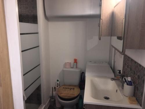une petite salle de bain avec toilettes et lavabo dans l'établissement logement entier -studio parfait état a La Baule-proche plages, à La Baule