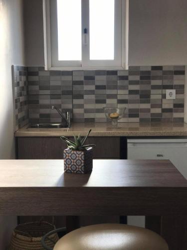 a kitchen with a table with a potted plant on it at Derekas studios & apartments in Laganas