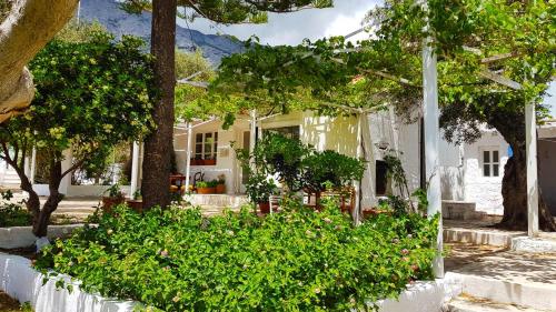 una casa bianca con alberi e cespugli di fronte di Loukoulos' maisonette a Marathokampos