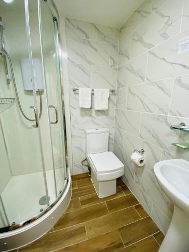 a bathroom with a shower and a toilet and a sink at PremierLux Serviced Apartments in Ilford