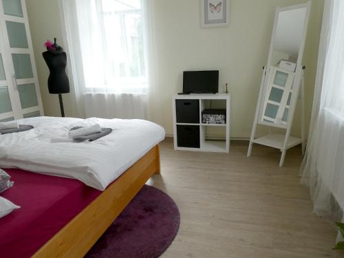 une chambre avec un lit et une télévision dans l'établissement Apartmán Mařenka, à Nové Město na Moravě