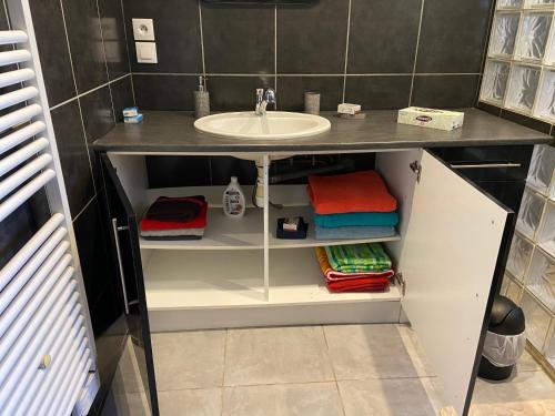 une salle de bain avec un lavabo et un comptoir avec des serviettes dans l'établissement petit coin de paradis en camargue entre Aigues mortes et les saintes maries de la mer, animaux bienvenus, à Vauvert