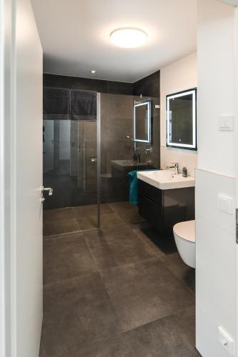 a bathroom with a shower and a sink and a toilet at Apartment Müller am See in Immenstaad am Bodensee