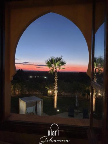 a view of a palm tree from a window at Villa Diaf Johanne in Aït Ourir