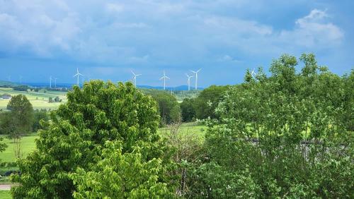 a group of wind turbines in a field with trees at Schulhaus Wettges in Birstein