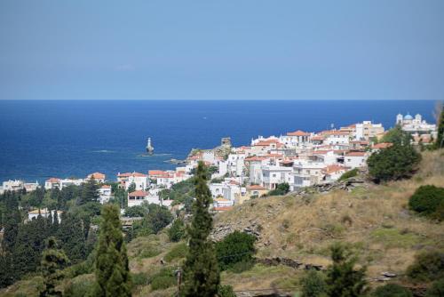 a town on a hill near the ocean at Casa Di Fiori Andros Suites in Andros