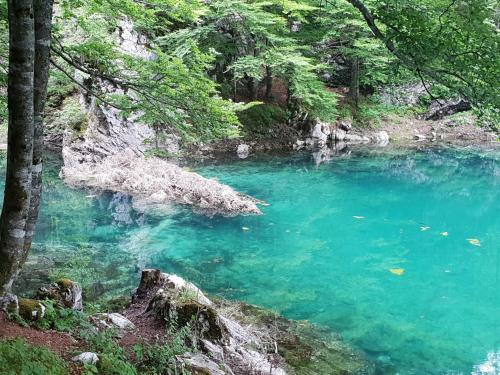 a blue pool of water in the middle of a forest at Hiša Lojz in Žaga