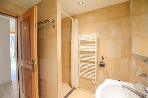 a bathroom with a shower and a sink at Topas 7 in Bettmeralp