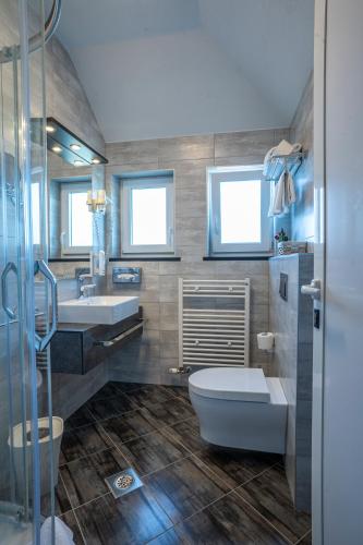 a bathroom with a toilet and a sink at Rooms Degenija Annex in Seliste Dreznicko