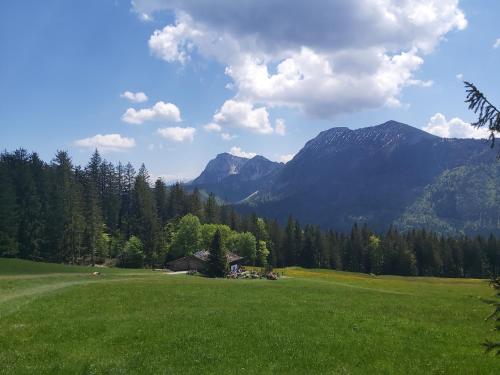 a large green field with mountains in the background at Apartment Andrea - Chiemgau Karte in Inzell
