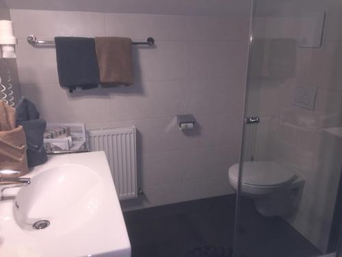 a bathroom with a toilet and a sink and a shower at Alpenecho in Neustift im Stubaital