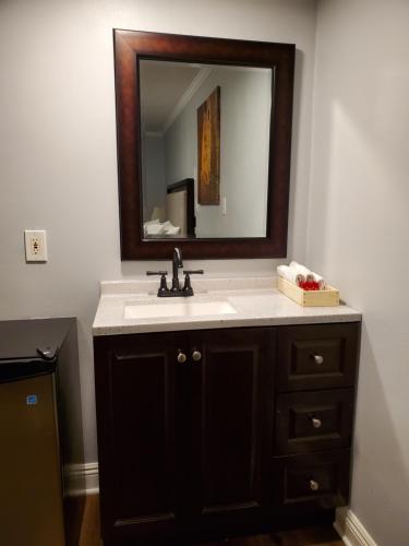 a bathroom with a sink and a mirror at Hotel Europa in Smeltzer