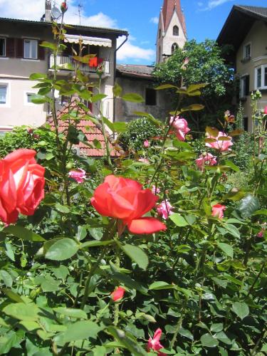 a bush of red roses with a building in the background at Parkhotel Post in Chiusa