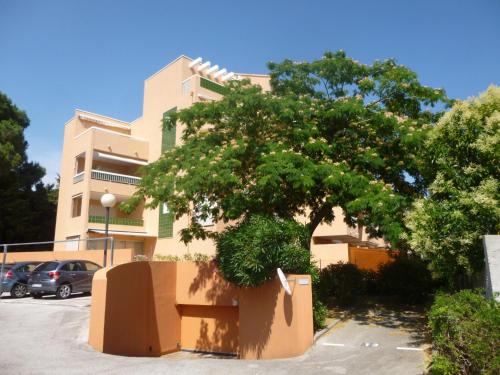 un arbre dans un parking en face d'un bâtiment dans l'établissement Appartement climatisé avec grande terrasse plein sud, à Cavalaire-sur-Mer