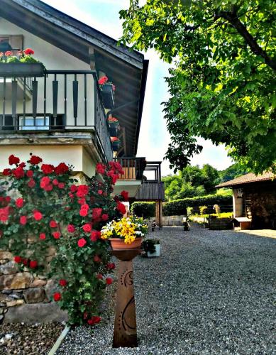 a planter with flowers in front of a building at Versigglhof in Appiano sulla Strada del Vino