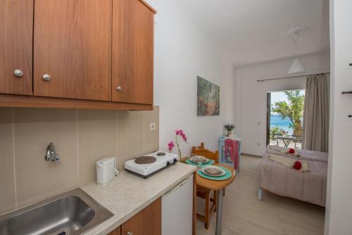 a kitchen with a sink and a counter top at Spiros and Polyxeni Apartments Afionas in Afionas