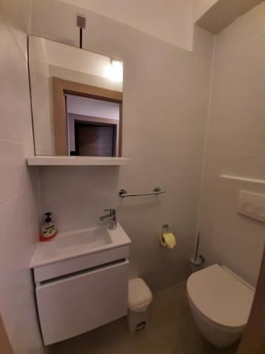 Bilik mandi di APARTMANI IVAN I RUŽA