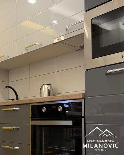 Küche/Küchenzeile in der Unterkunft Apartman & spa Milanović Zlatibor