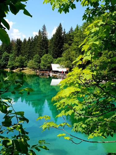 a view of a lake with a cabin in the background at Hiša Lojz in Žaga