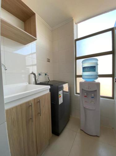 a small kitchen with a sink and a dishwasher at Departamento Céntrico Full equipado in Copiapó