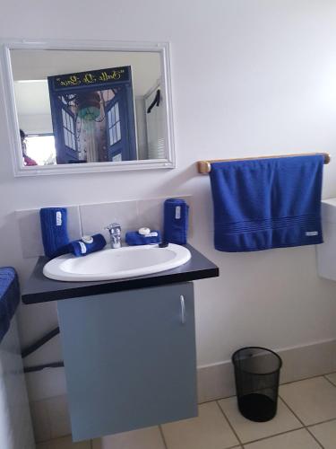 a bathroom with a sink and a mirror at Black Sheep Cottage Hay in Hay