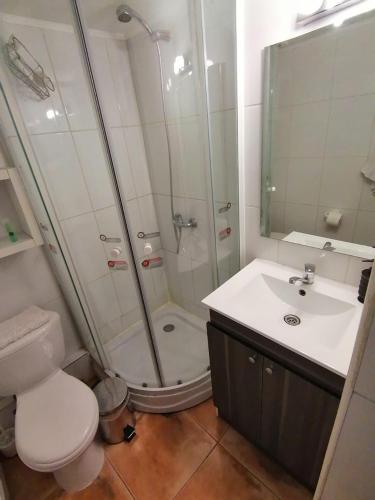a bathroom with a shower and a toilet and a sink at SKI In/Out Monteblanco El Colorado in Santiago