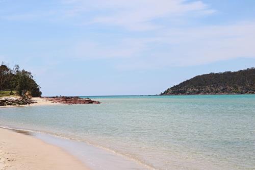 a beach with the ocean and trees in the background at The Love Shack in Pambula