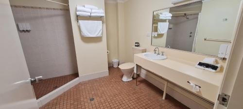 ein Badezimmer mit einem Waschbecken, einem WC und einem Spiegel in der Unterkunft Golf Links Motel in Tamworth