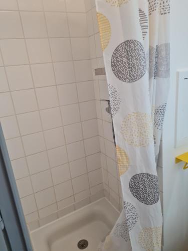 - un rideau de douche dans la salle de bains pourvue d'une baignoire dans l'établissement studio intra-muros meublé, à Avignon