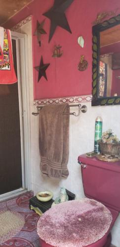 łazienka z różową toaletą i gwiazdami na ścianie w obiekcie Mendoza’s Guest House w mieście Santa Ana
