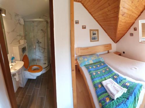 a small room with a bed and a bathroom at Relax Penzion U Adama in Dolná Tižina