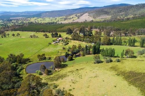an aerial view of a green hillside with a farm at Hamlet Downs Country Accommodation in Fentonbury