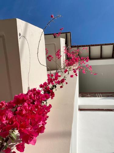 Gallery image of Gardenia studios in Nydri