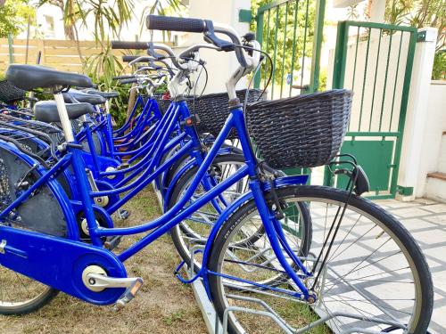 a group of blue bikes parked next to each other at Hotel Blumen in San Benedetto del Tronto
