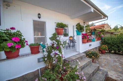 a patio with potted plants on a house at Efi's apartment in Marathias