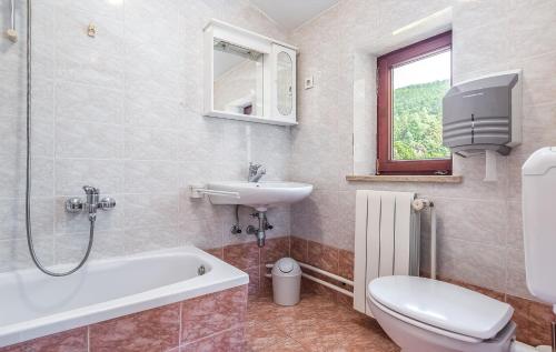 a bathroom with a toilet and a sink and a bath tub at Apartments and Rooms Lago Rupa in Rupa