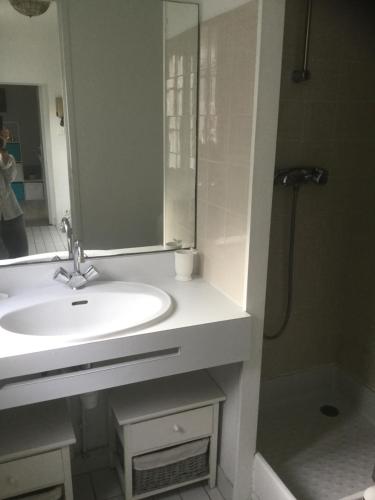 une salle de bain avec un lavabo, un miroir et une douche dans l'établissement Studio terrasse vieux port-centre historique, à La Rochelle