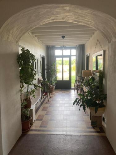Un jardín fuera de L'Intemporelle