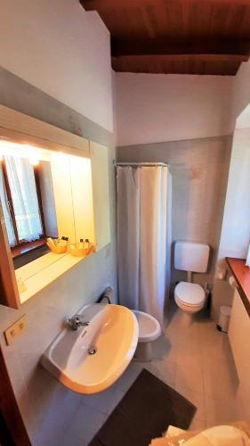 a bathroom with a sink and a toilet at Rustico Casetta Pia in Malcesine