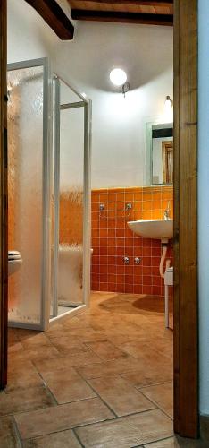 a bathroom with a shower and a sink and a mirror at Poggio Sasseta in Montiano