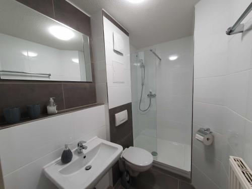 a bathroom with a sink and a toilet and a shower at Ferienwohnung Kranichnest in Neddesitz