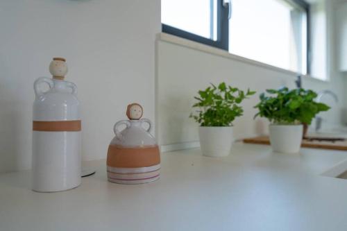 a group of bottles on a counter with potted plants at Villa Mateo with heated pool in Fažana