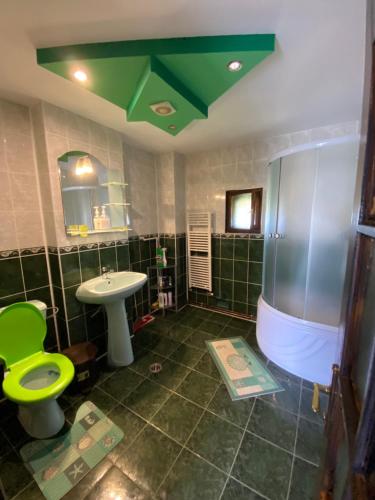 a green bathroom with a sink and a toilet at CASA LEXIMAR in 2 Mai