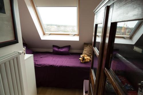 デ・ハーンにあるDuinenzicht IIの窓に紫色のベッドが備わる小さな客室です。