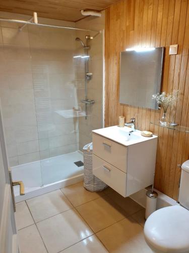 une salle de bain avec une douche, un lavabo et des toilettes dans l'établissement Maison des pêcheurs vue lac a 50m du port dans quartier historique, à Thonon-les-Bains