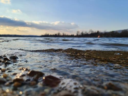 a view of the shore of a body of water at Andjelka A26 Silver lake, Srebrno jezero, Veliko Gradiste in Veliko Gradište