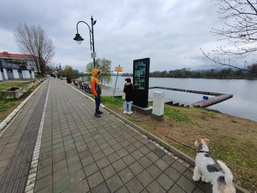 a person and a dog on a sidewalk next to a lake at Andjelka A26 Silver lake, Srebrno jezero, Veliko Gradiste in Veliko Gradište