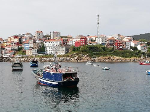 Φυσικό τοπίο κοντά σε αυτό το hostel