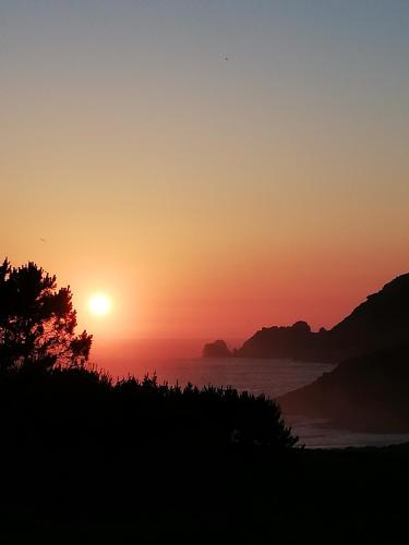 una puesta de sol sobre el océano con un árbol en primer plano en O Encontro en Finisterre