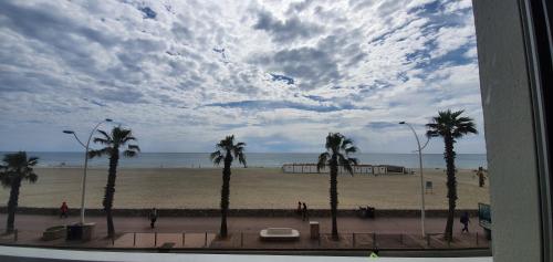 une vue sur une plage avec des palmiers et l'océan dans l'établissement Studio les pied dans l eau !, à Canet